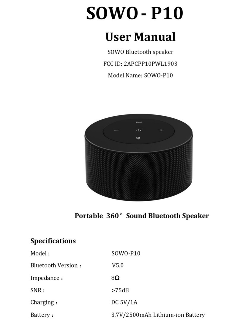 Sowo SOWO-P10 user manual
