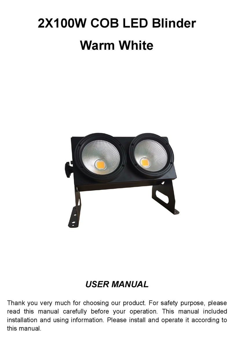 Winlite WB-2100 user manual