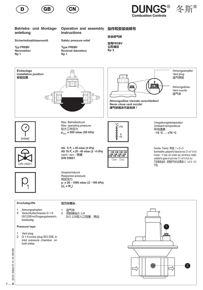 Dungs FRSBV Operation and assembly instructions
