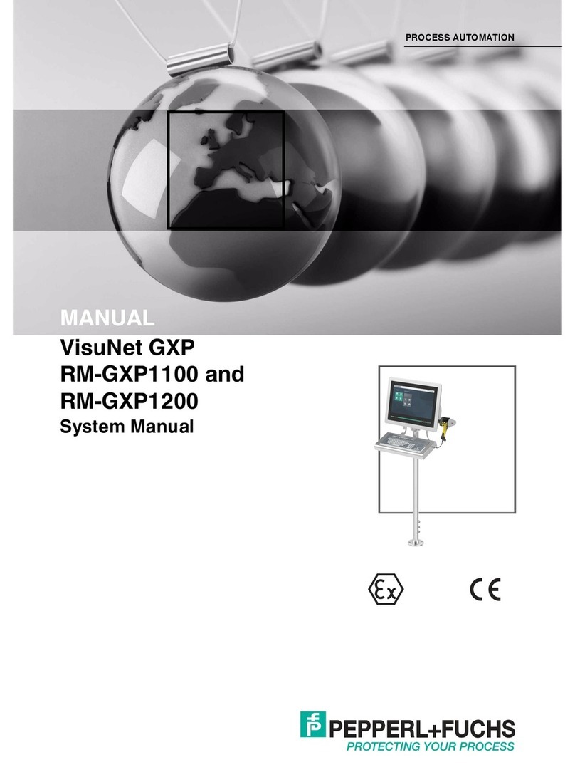Pepperl+Fuchs VisuNet GXP Series System manual