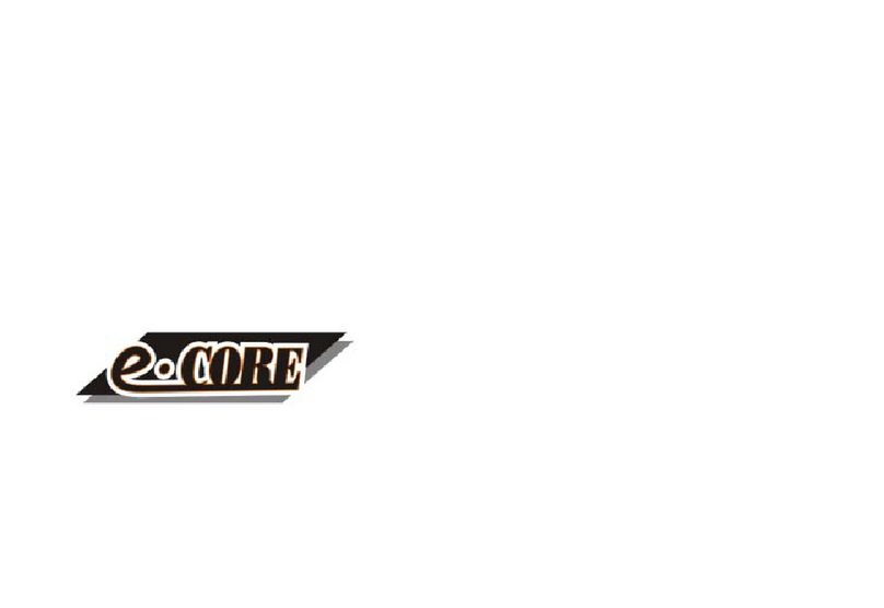 E-Core HP5139 user manual