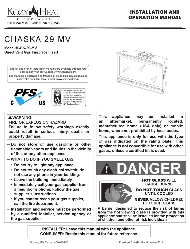 kozy heat CSK-29-MV User manual