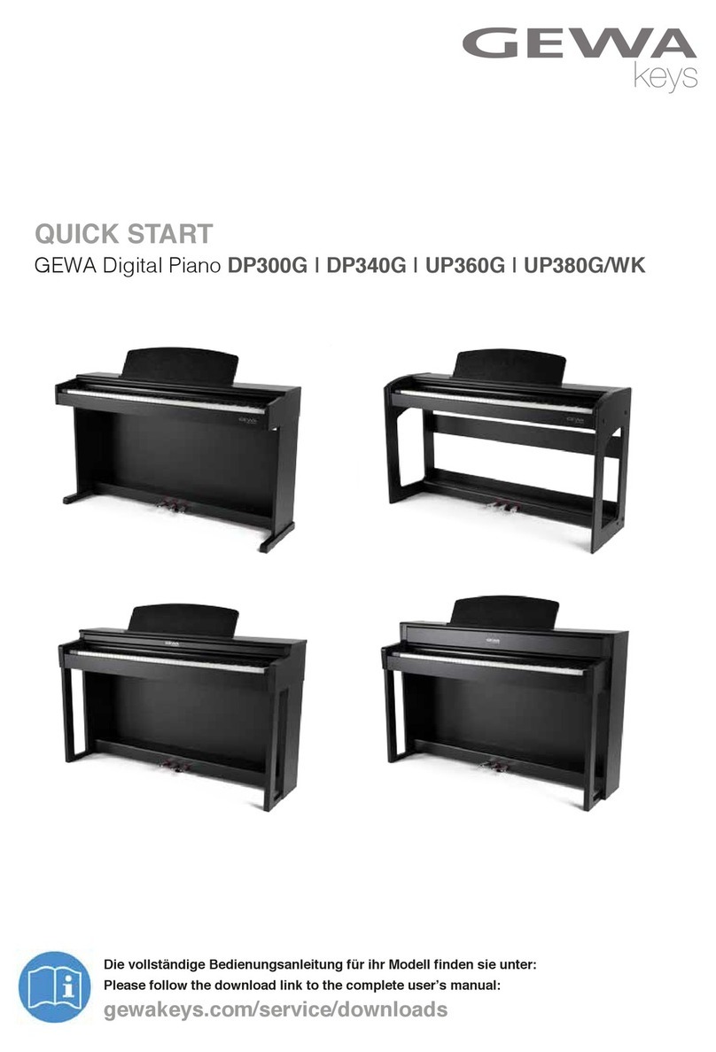 Gewa DP300G User manual