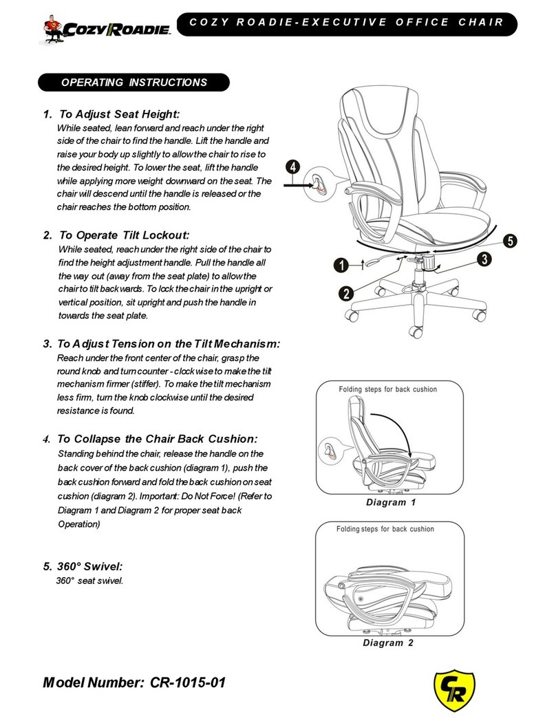 COZY ROADIE CR-1015-01 operating instructions