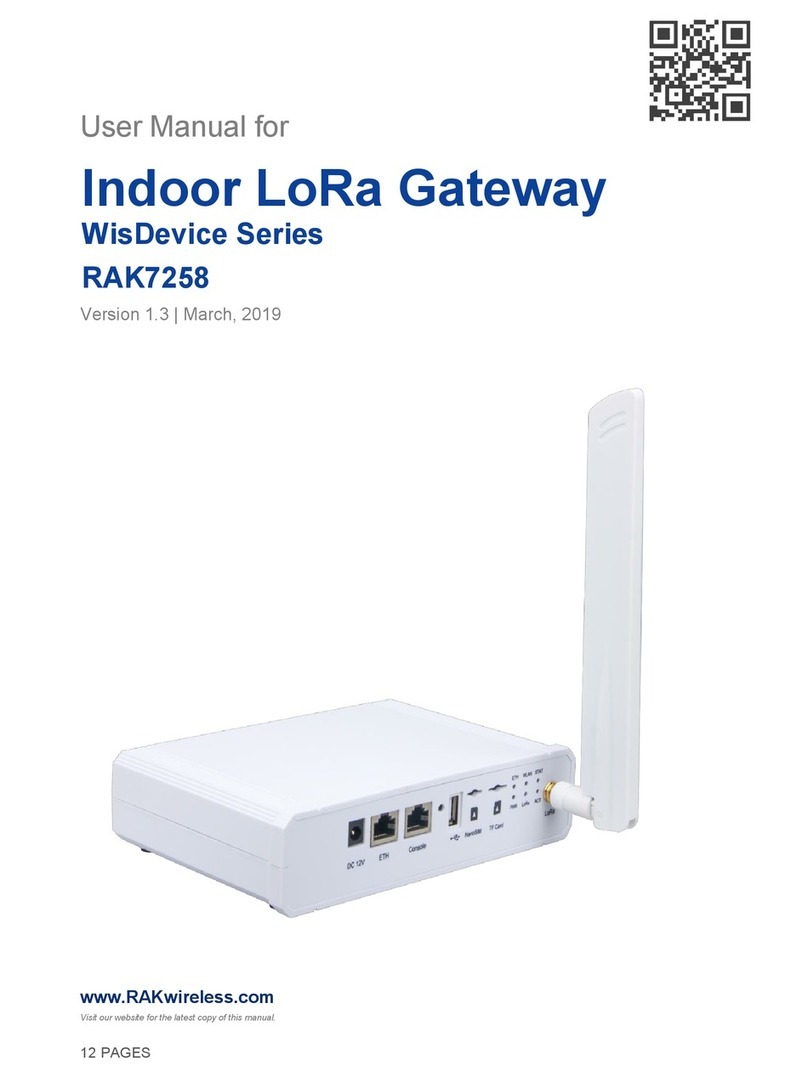 RAKwireless RAK7258 User manual