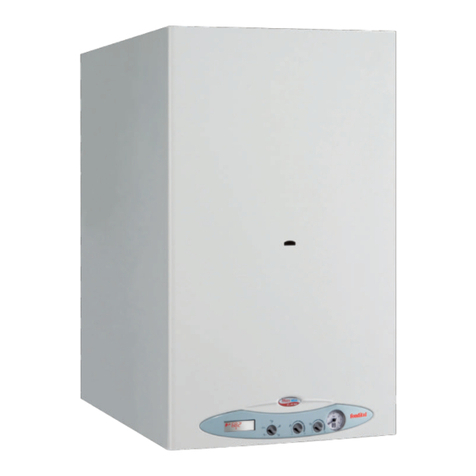 Fondital Nias Dual Line Tech BTN 24 Installation, use and maintenance