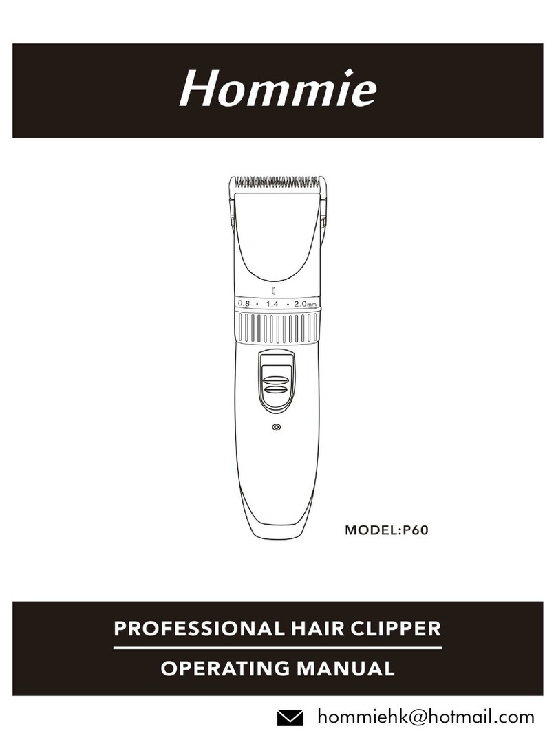 Hommie P60 operating manual