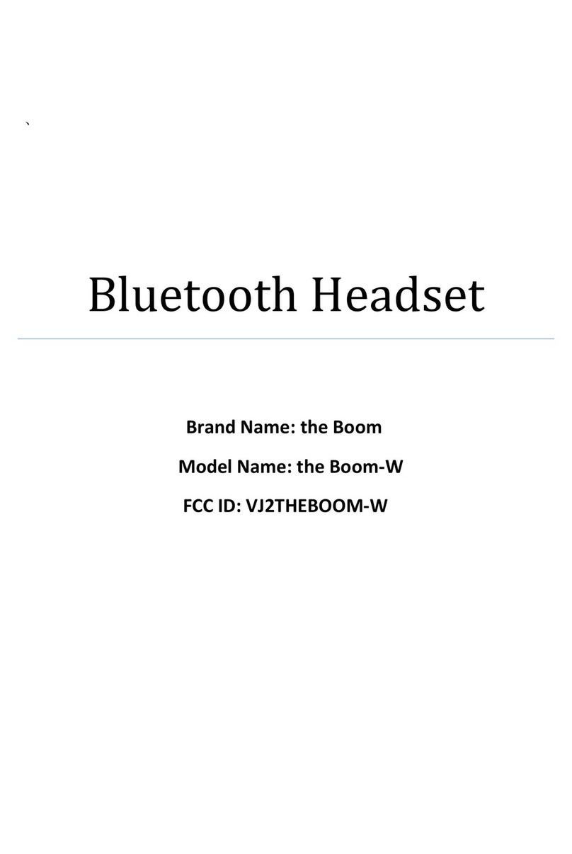 the Boom the Boom-W User manual
