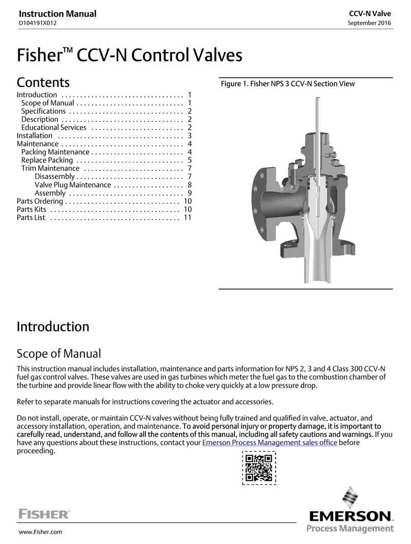 Emerson Fisher CCV-N instruction manual