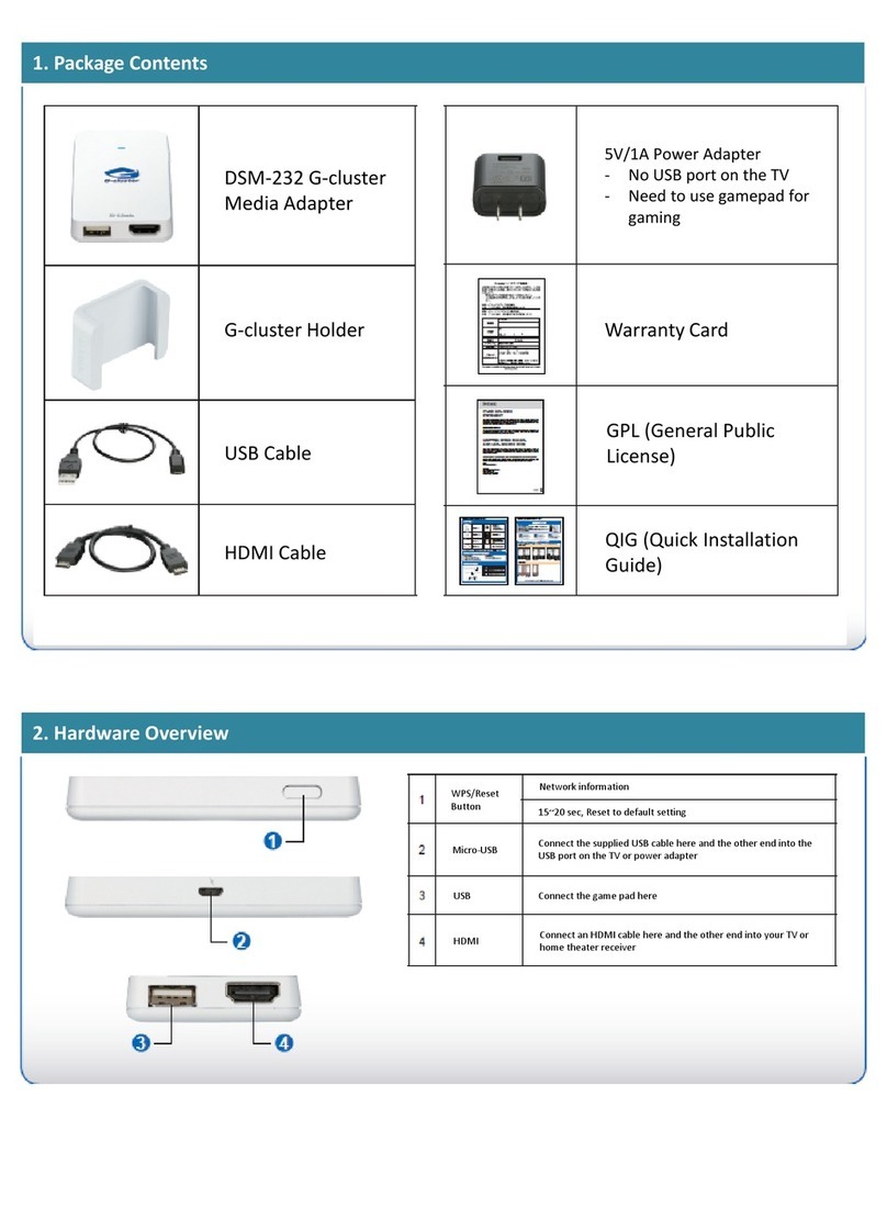 G-cluster DSM-232 installation guide