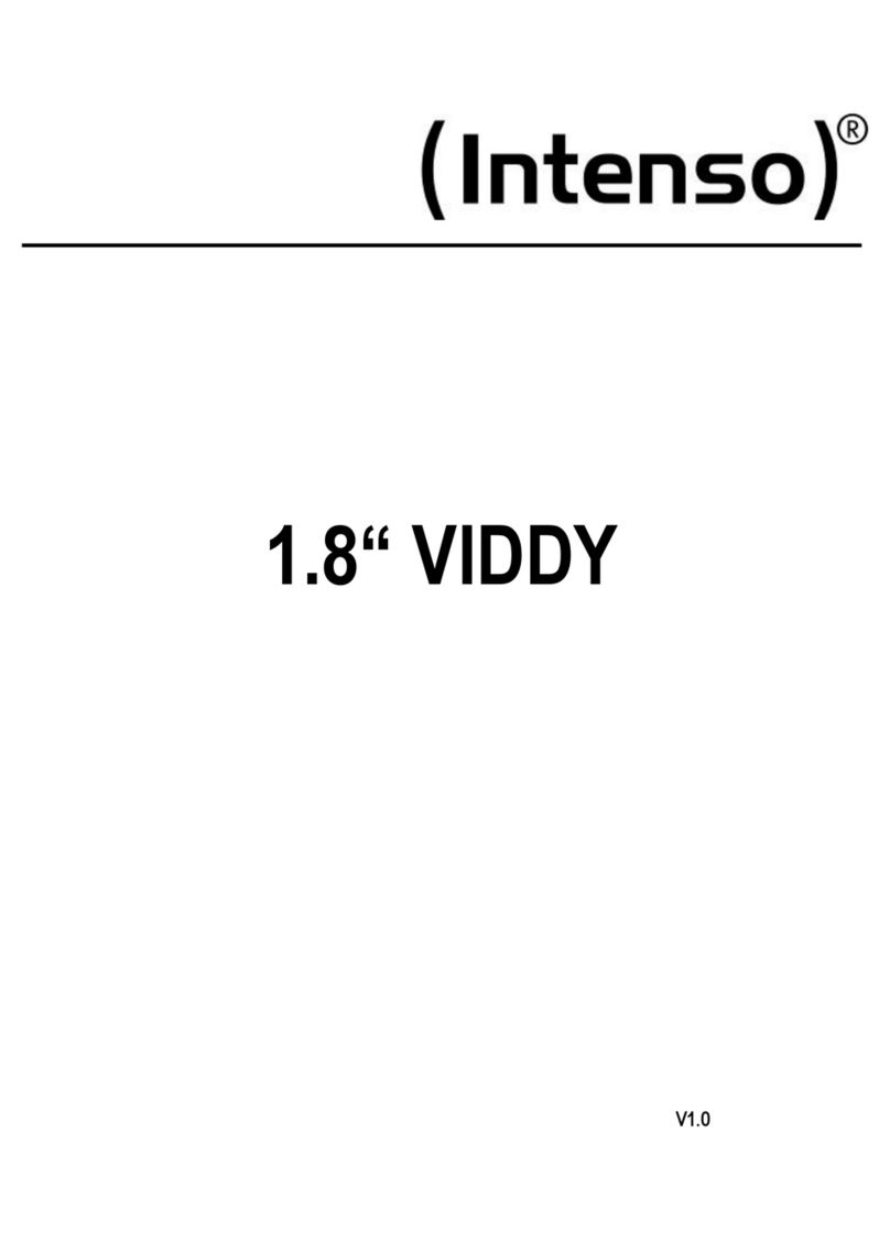 Intenso Viddy user manual