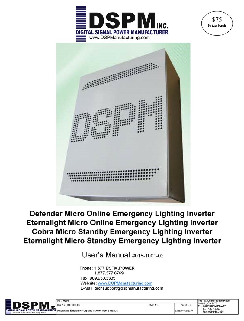 DSPM Defender Micro User manual