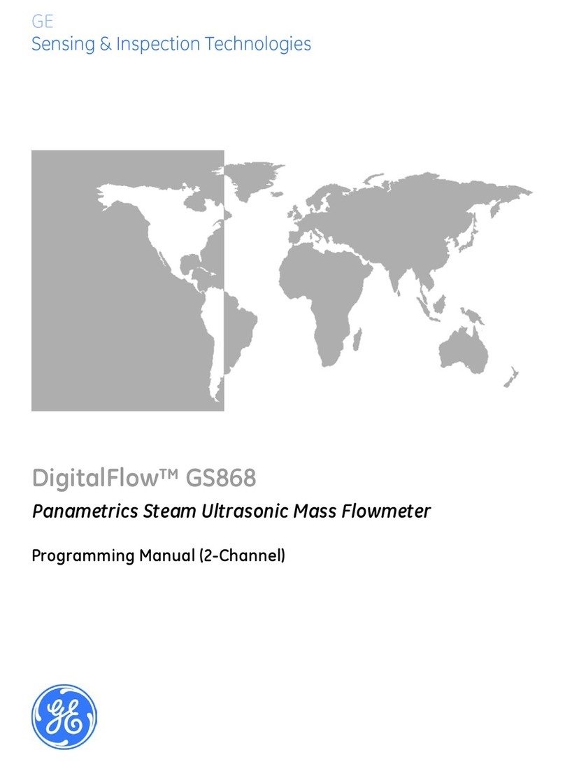 GE DigitalFlow GS868 Owner's manual