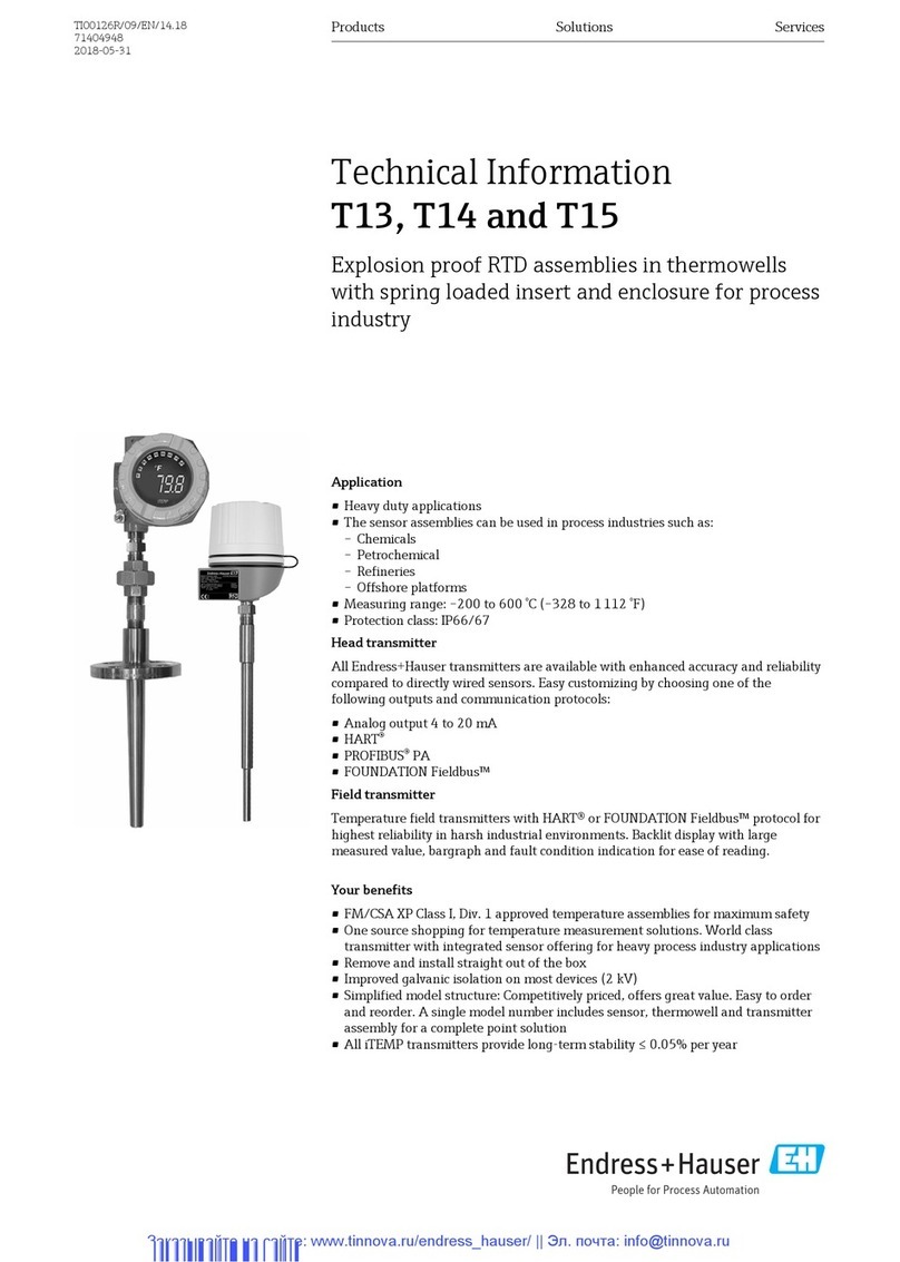 Endress+Hauser T13 Manual