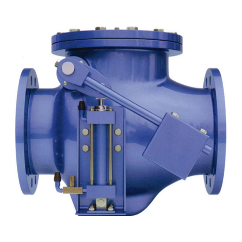 DeZurik APCO CVS-6000 User manual