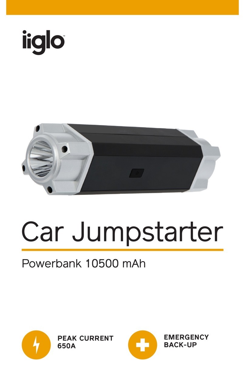 Iiglo IICARSTART user manual