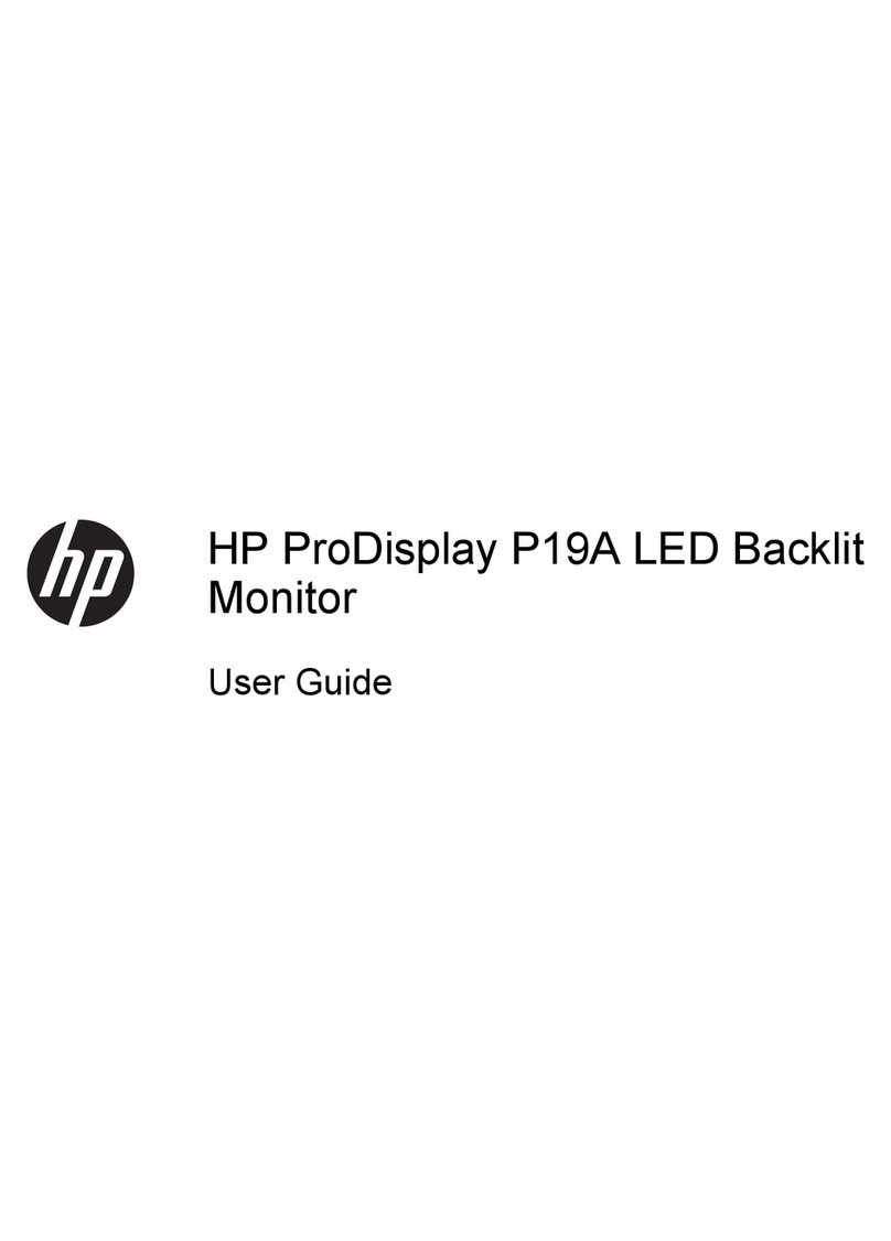 HP ProDisplay P19A User manual