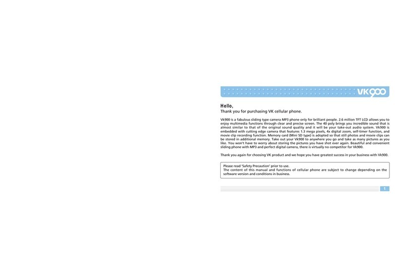 VK MOBILE VK900 User manual