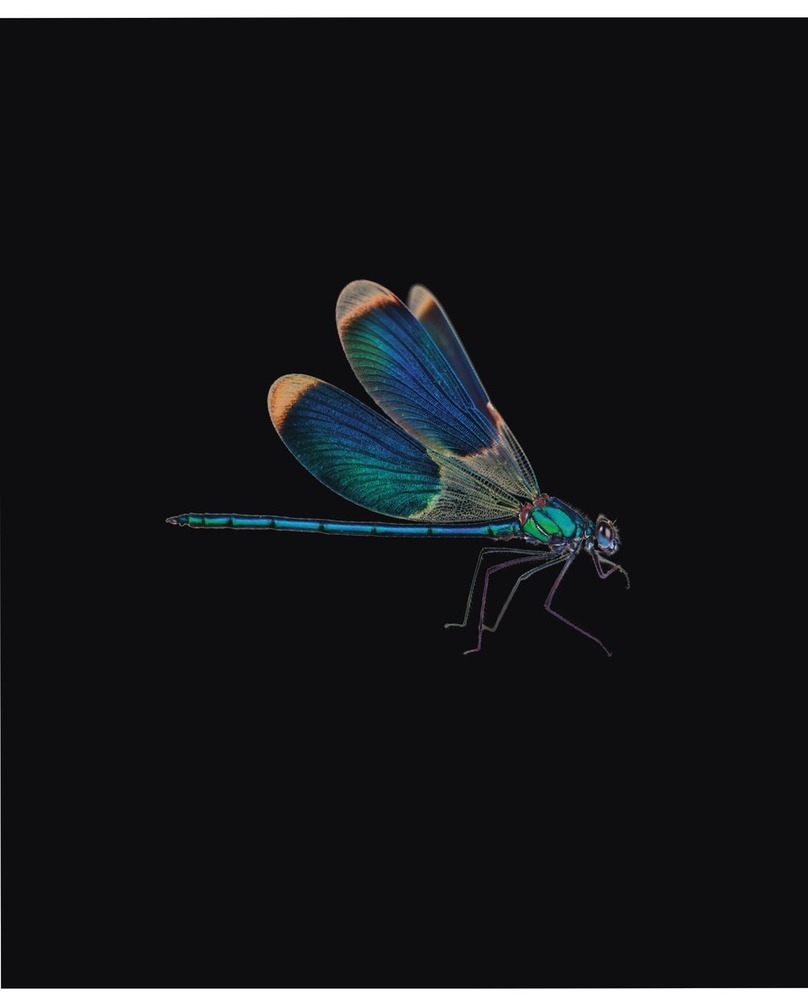 AudioQuest DragonFly manual
