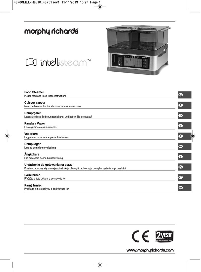 Morphy Richards Intellisteam User manual