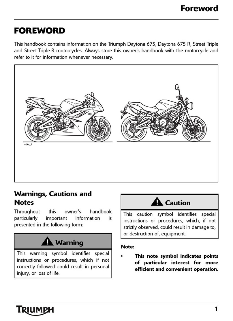 Triumph Daytrona 675 User manual