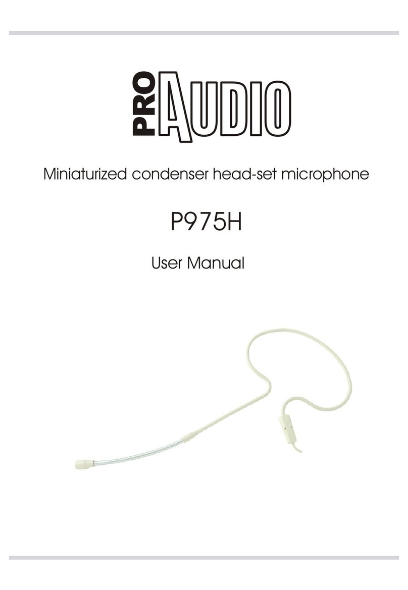 ProAudio P975H User manual