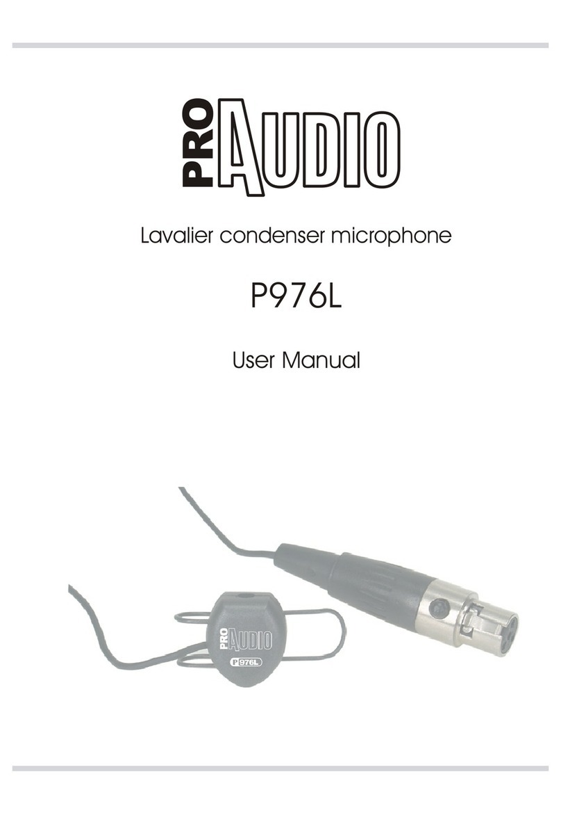 ProAudio P976L User manual