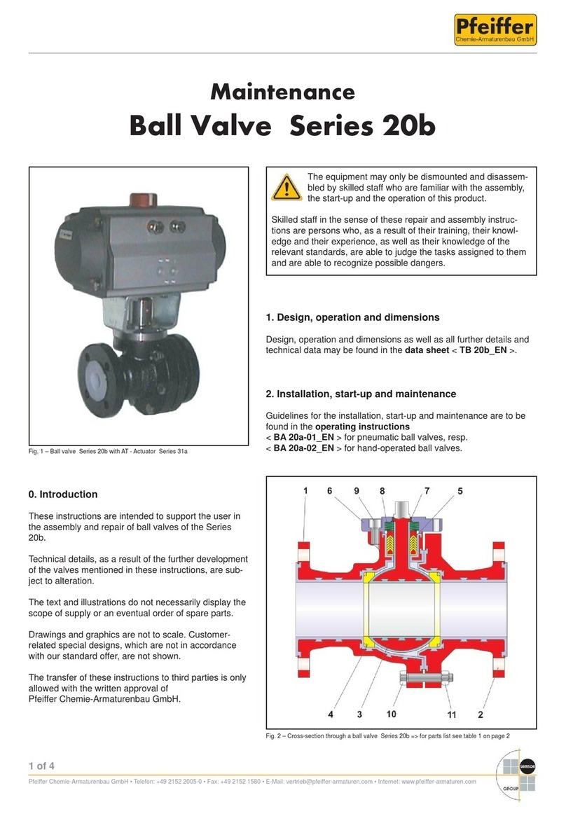 Pfeiffer 20b Series Guide
