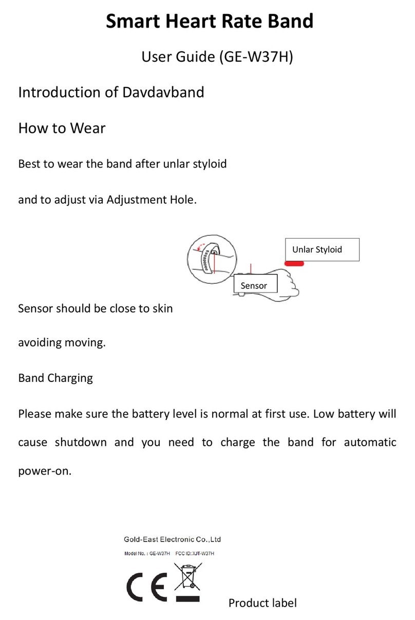 Gold-East Electronic GE-W37H User manual