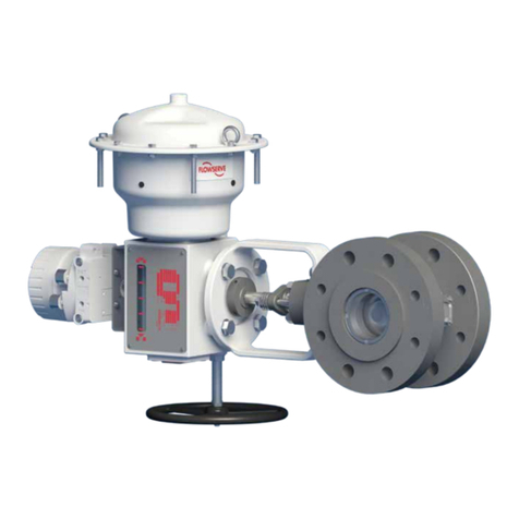 Flowserve Valtek MaxFlo 4 User manual