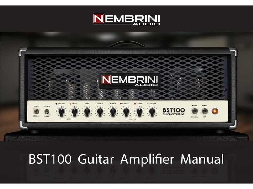 Nembrini Audio BST100 User manual