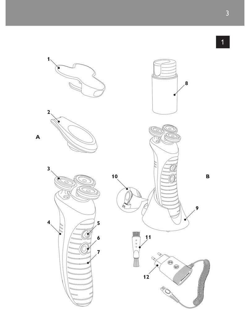 Philips CoolSkin HS8040 user manual