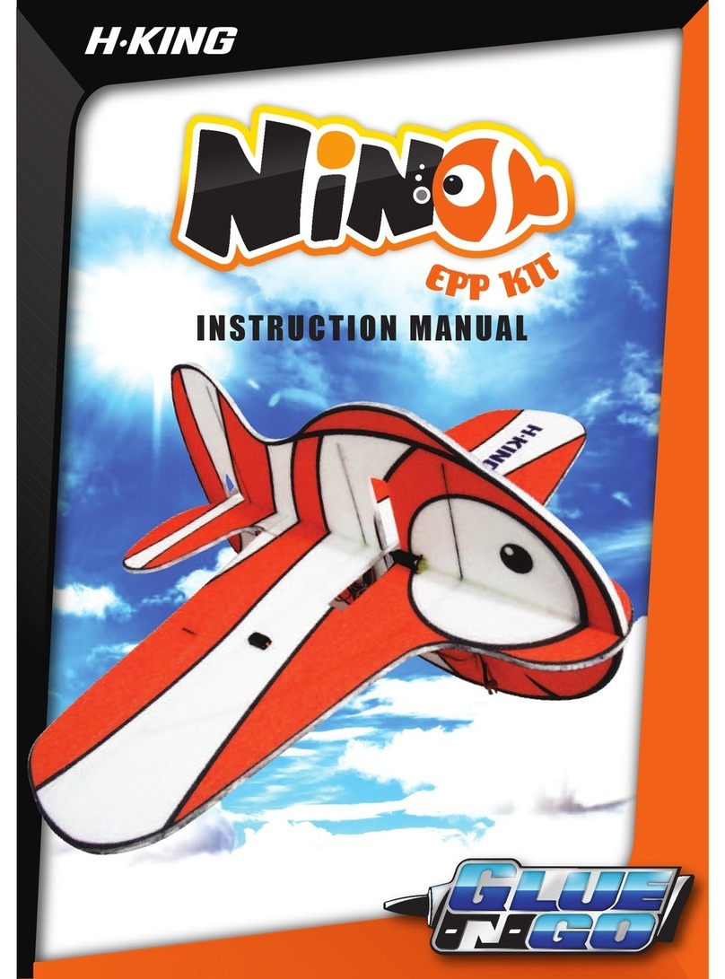 H-KING Nino User manual