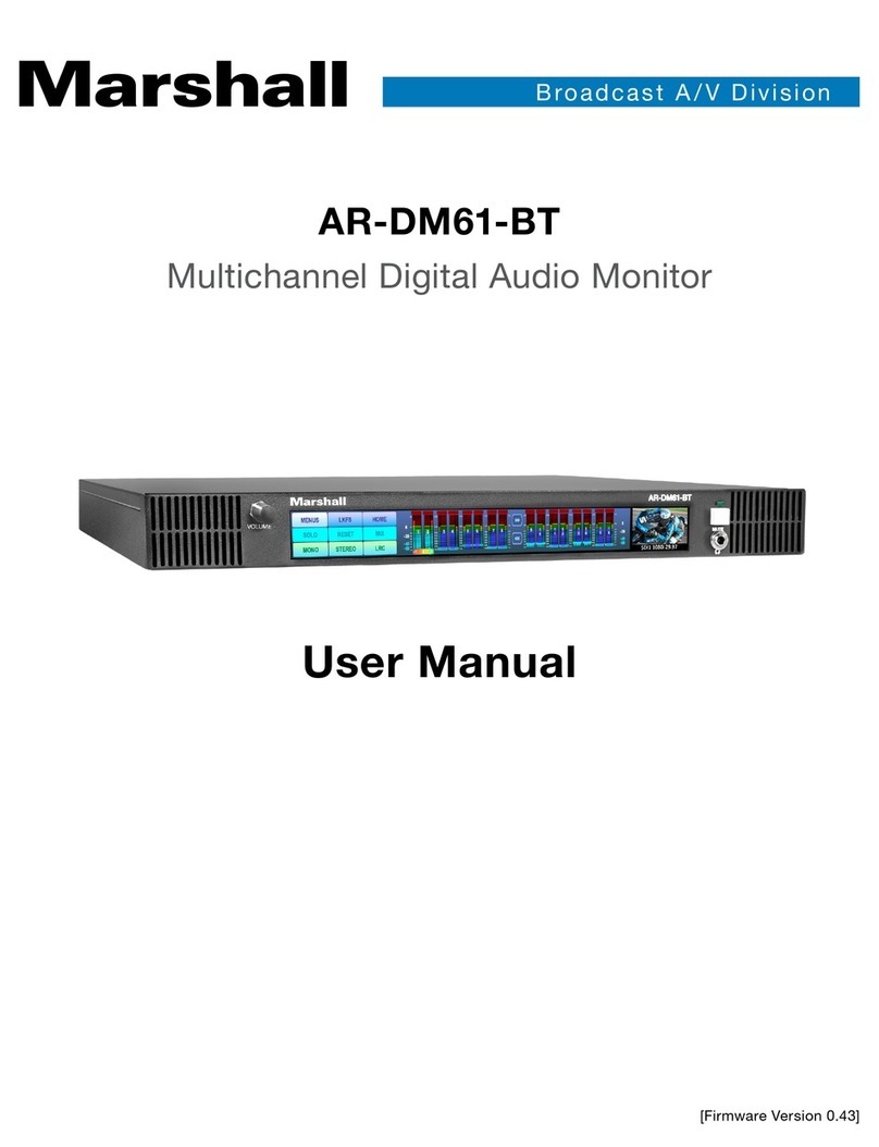 Marshall Amplification AR-DM61-BT User manual