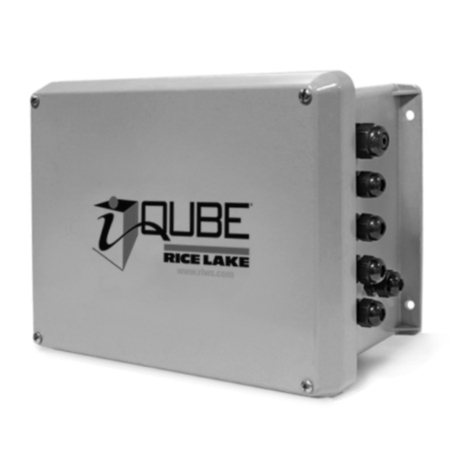 Rice Lake iQube 920i installation manual