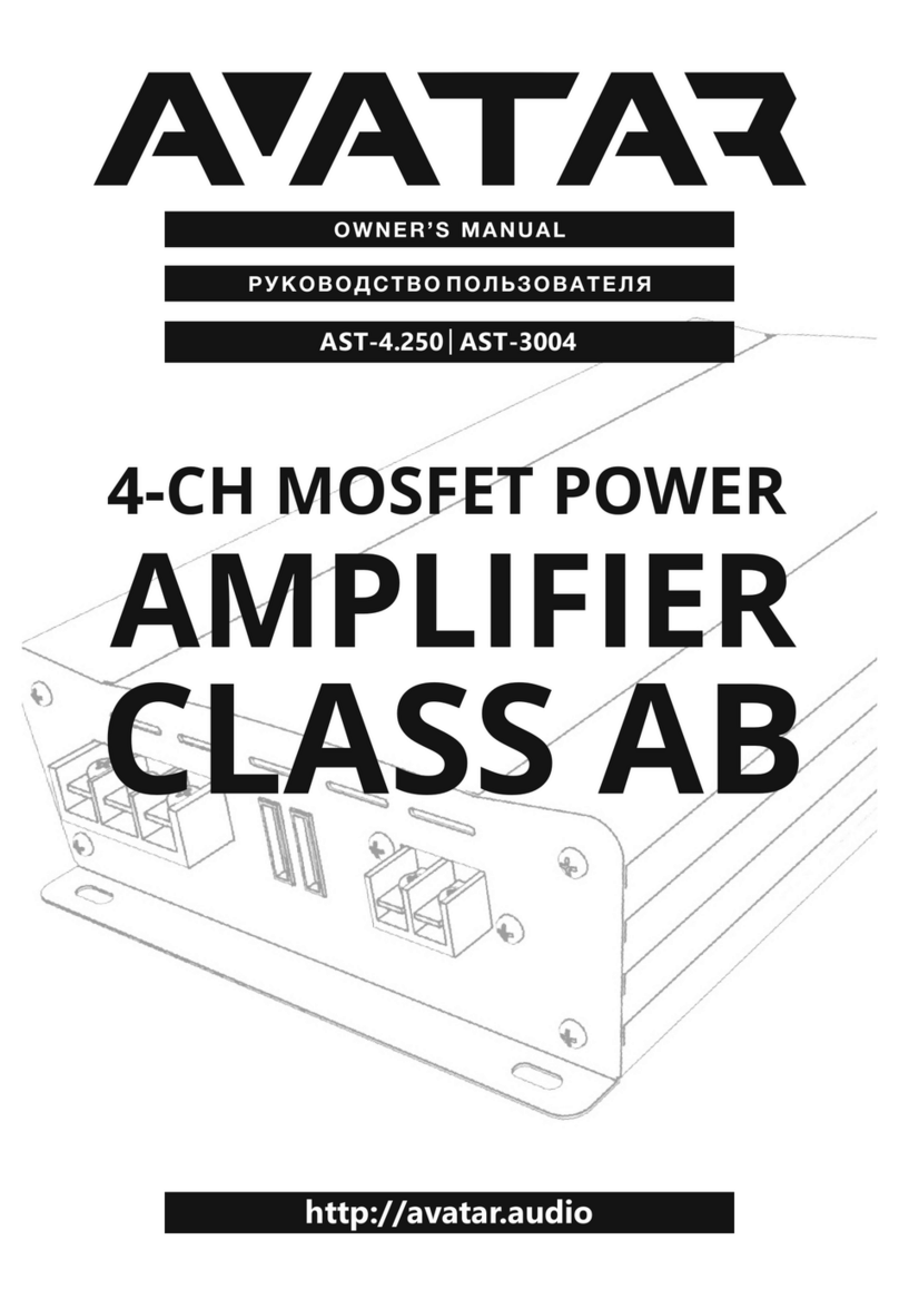 Avatar AST-4.250 owner's manual