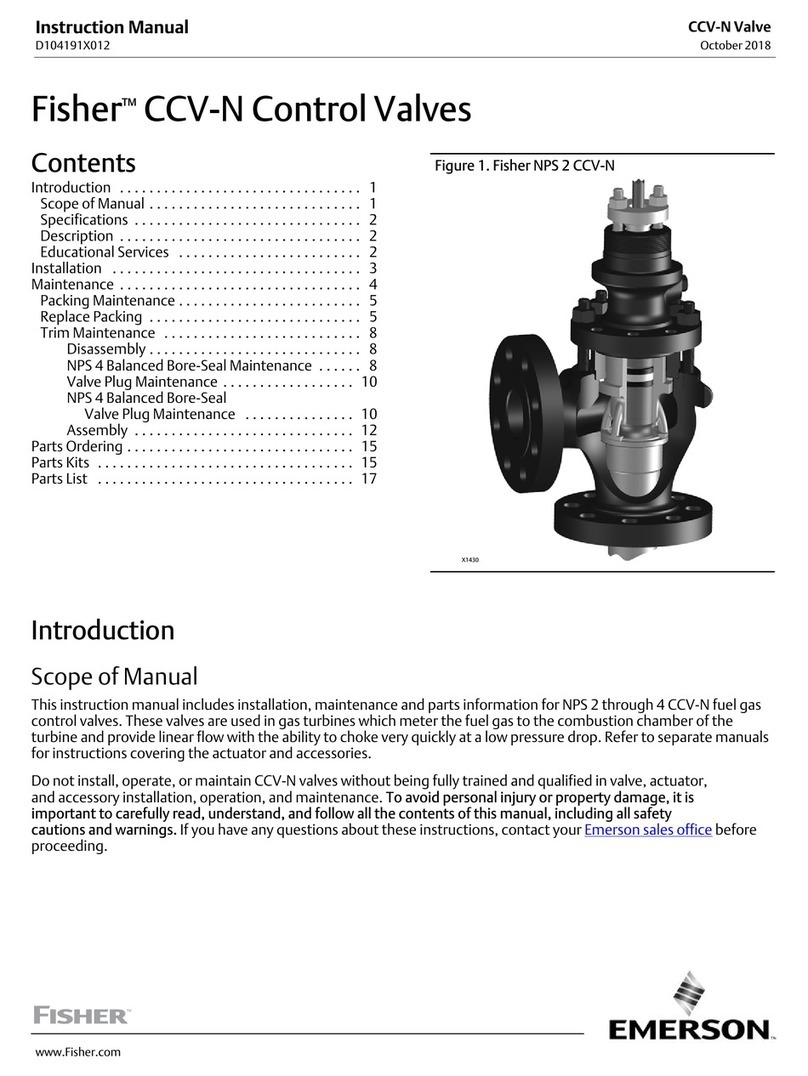 Emerson Fisher NPS 2 CCV-N User manual