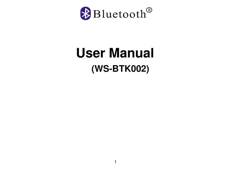 Winner'Sun WS-BTK002 user manual