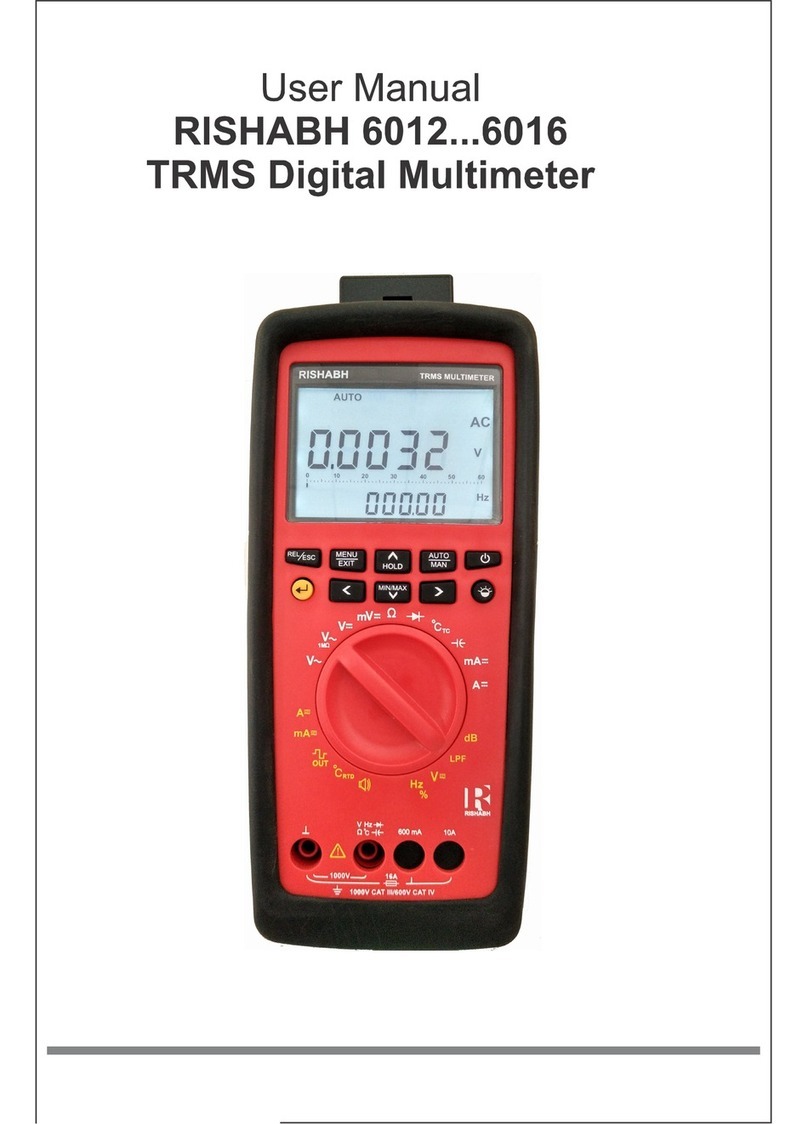 Rishabh 6012 User manual