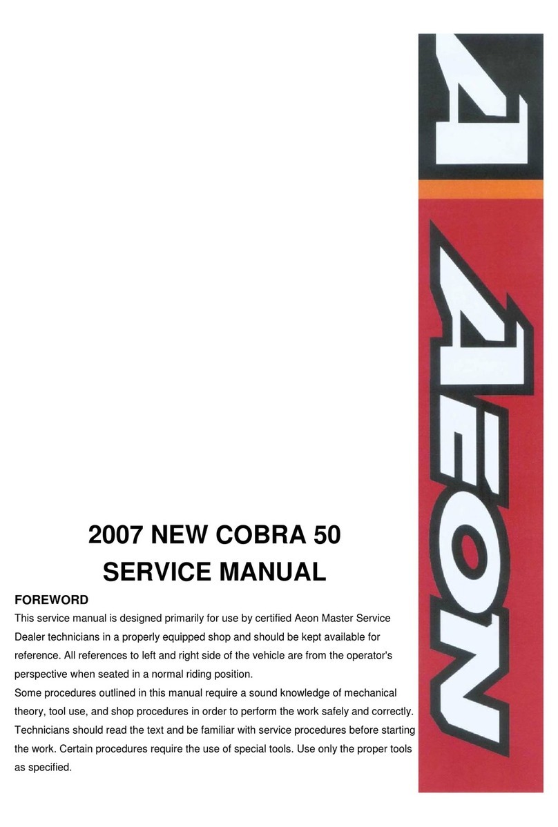 A-EON COBRA 50 2007 Service manual