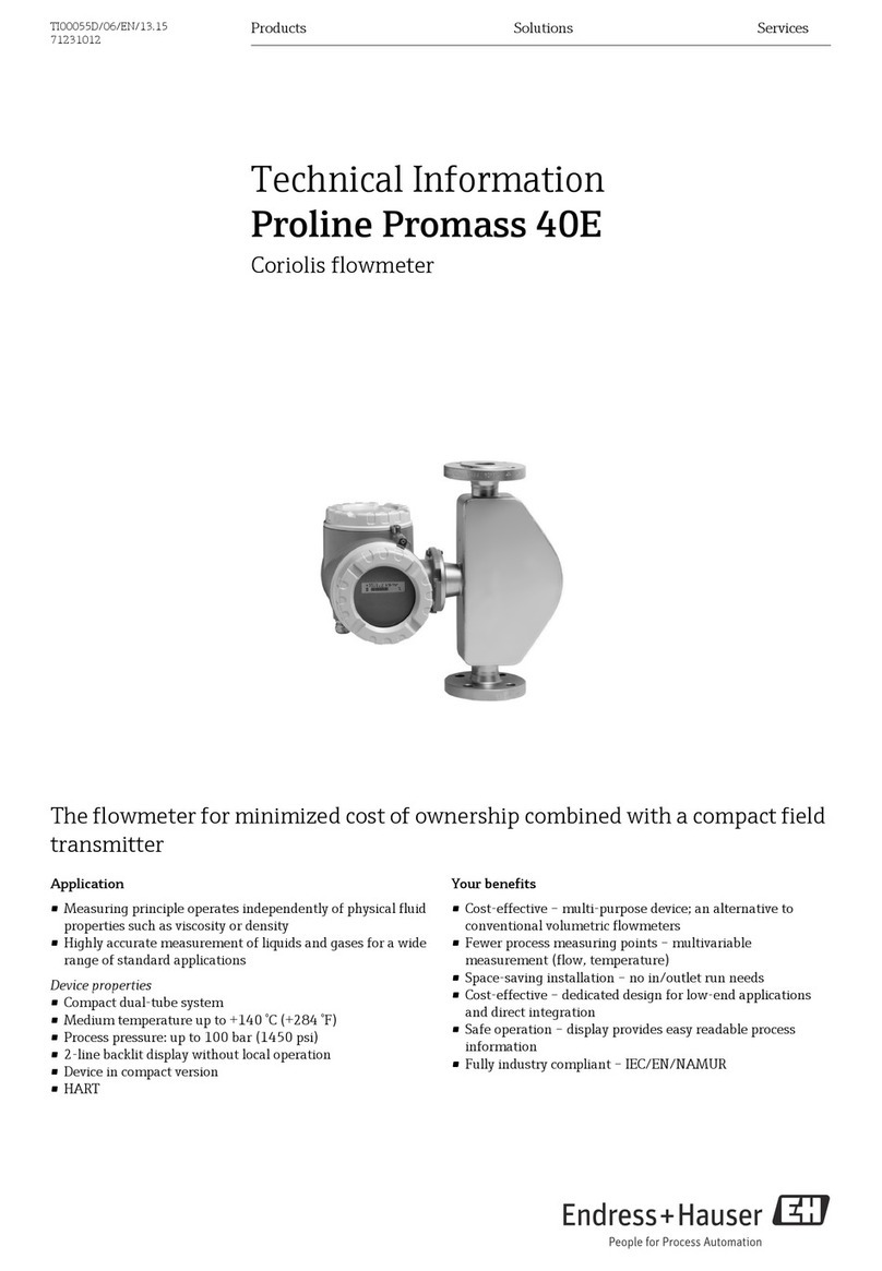 Endress+Hauser Proline Promass 40E Manual