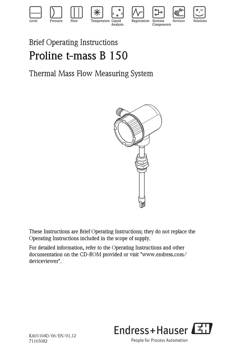 Endress+Hauser Proline t-mass B 150 Brief operating instructions