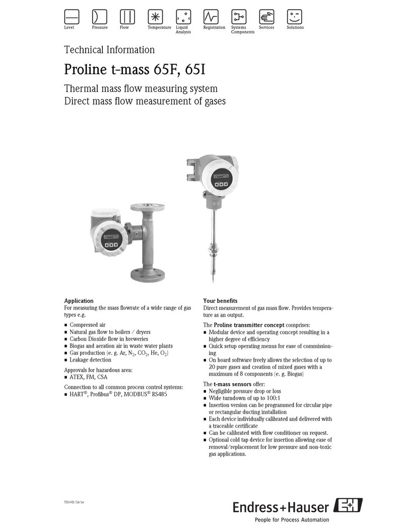Endress+Hauser Proline t-mass 65F Manual