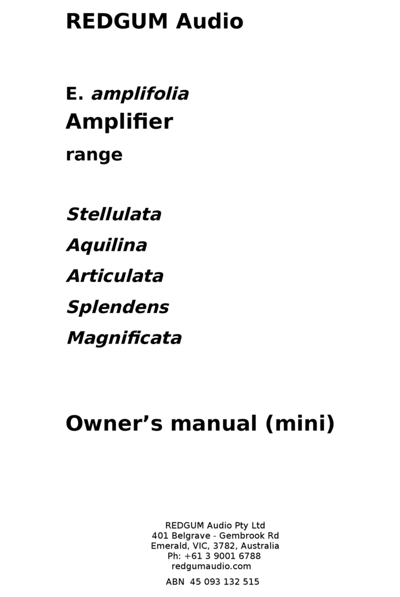REDGUM Audio Stellulata owner's manual