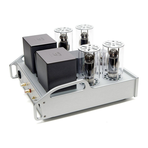 ALLNIC AUDIO M-3000 MK II User manual