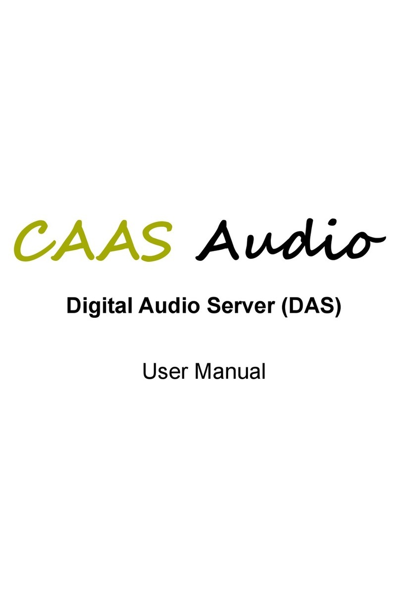 CAAS Audio DAS user manual