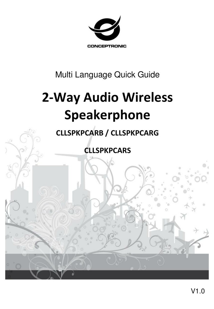 Conceptronic CLLSPKPCARB quick guide