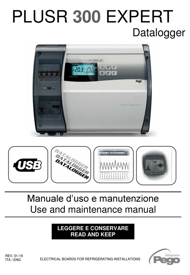 Pego PLUSR 300 EXPERT User manual