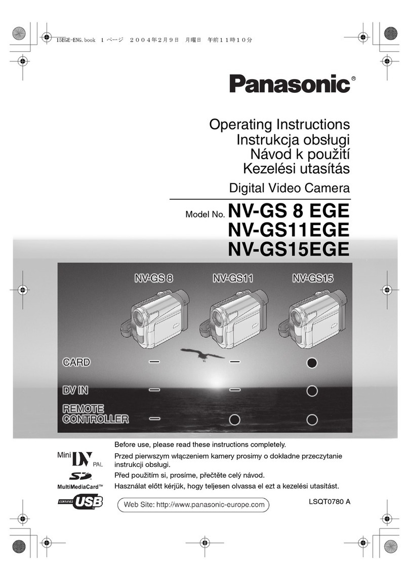 Panasonic NV-GS 8 EGE User manual