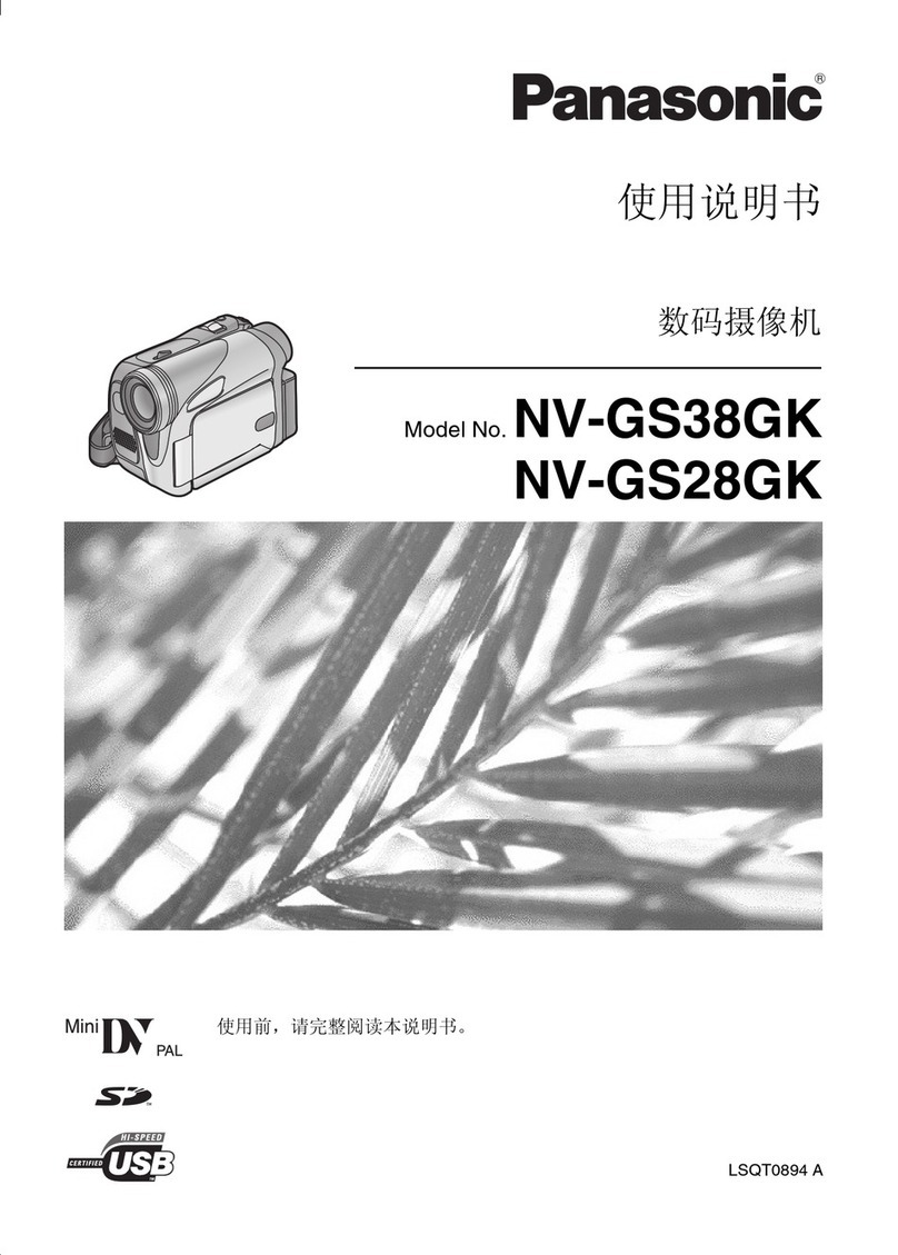 Panasonic NV-GS38GK User manual